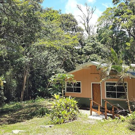 Forest Garden House Monteverde Exterior foto