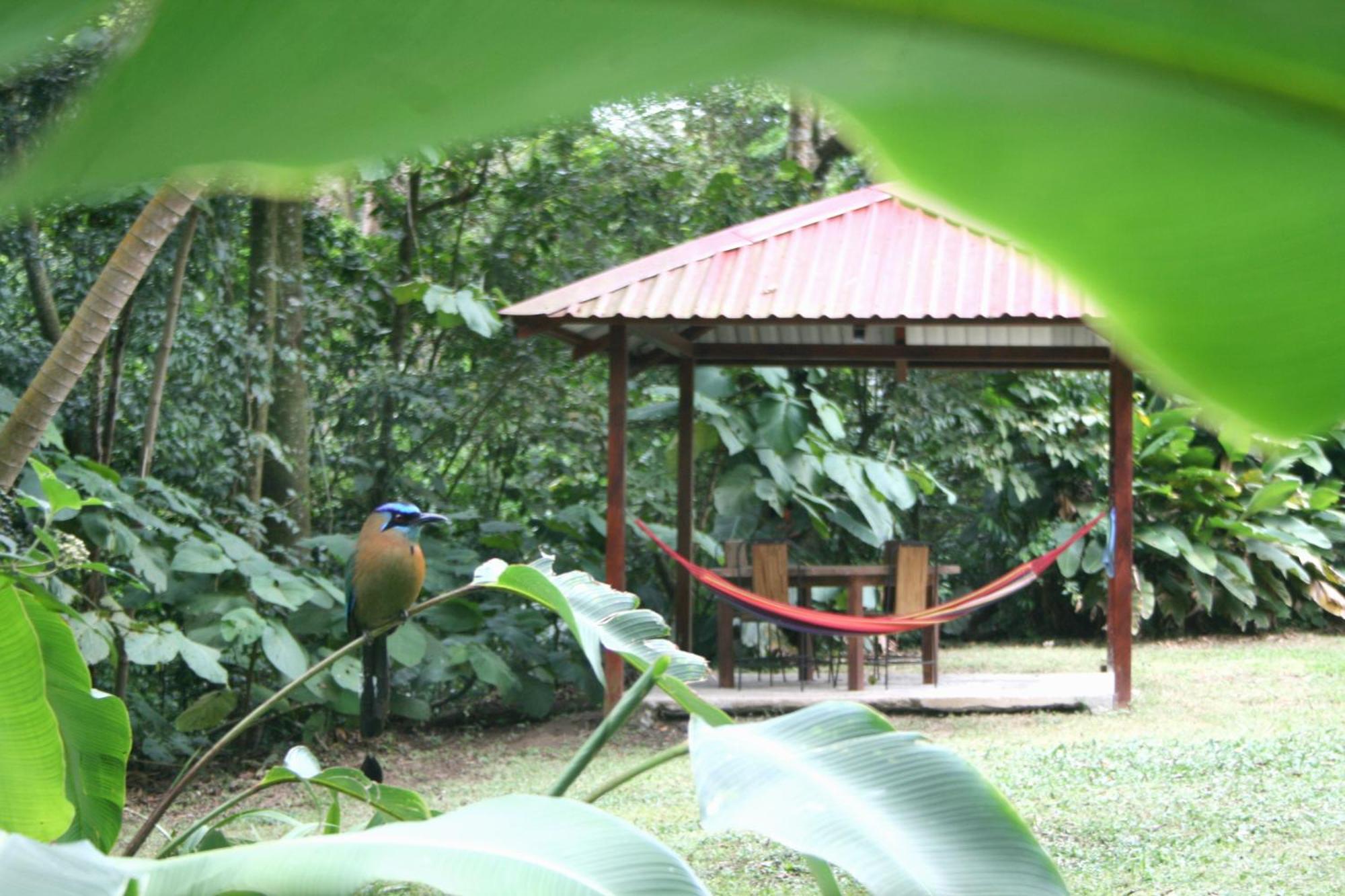 Forest Garden House Monteverde Exterior foto